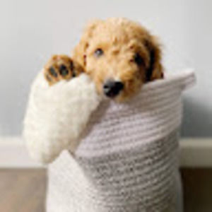 Meet your Posher, Joanna